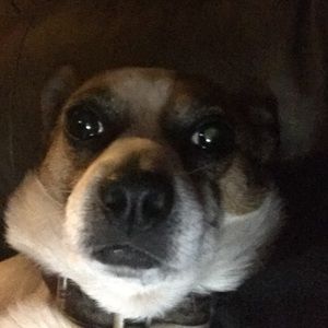 Meet your Posher, Curtis